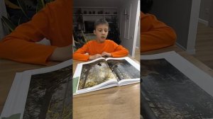 Разговор о Шишкине