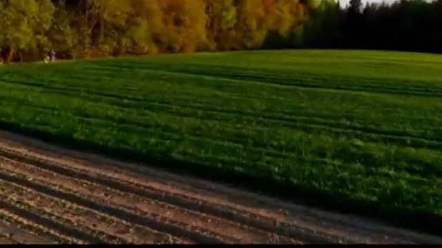 Мы простыя людзi