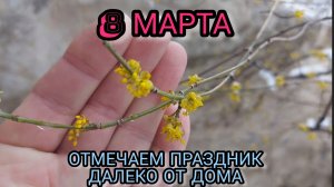 Как мы 8 марта отмечали.