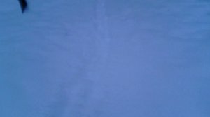 054 2016.11.07_08.00.12