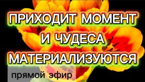 Прямой эфир с Наилей Богдановой