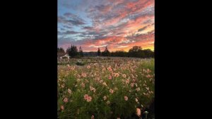 Танцуй если знаешь этот тренд 2026 года