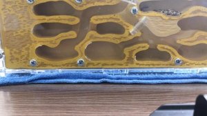 часть 2 про муравьёв