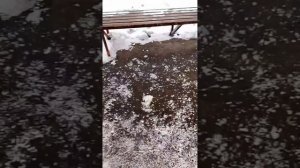 опять твою налево идём домой