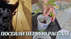 ТЕПЕРЬ ДОМА ТЕПЛО, А НА ДУШЕ СПОКОЙНО. УКРЕПИЛИ СТЕНУ И ПОСЕЯЛИ ПЕРВУЮ РАССАДУ.