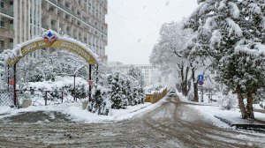 Санаторий им. Г.  Димитрова. Кисловодск 2026 год.