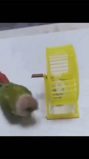 топ олдовский мемасик