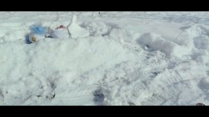 Как басики провели зиму