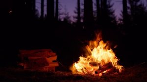 4К ASMR АСМР Костер в лесу после заката камин на телевизор эффект присутствия