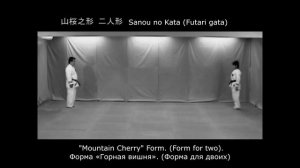 International Personal Video Card — 5 kyu