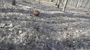 063 2017.04.09_10.17.20