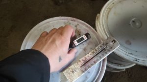 как зимуют черенки винограда