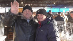 Ярмарка голубей  Бронницы 7 марта 2026 года фильм 2