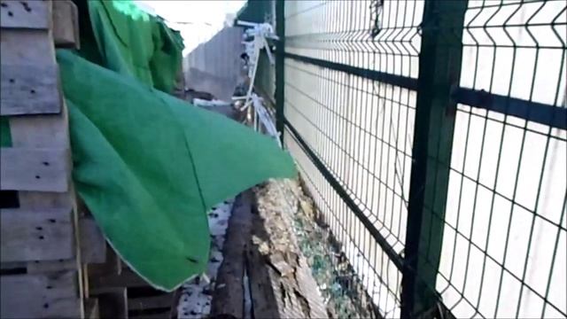 ч.3 Восточный