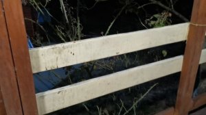 СОЧИ ГОРНОЕ ЛОО УТРО 09.03.2026