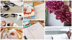 8 марта. Кропотливая, но любимая работа. Обзор и посадка томатов.