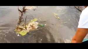 собираю пластиковую рыбку ЧАСТЬ 13