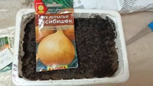 6-7.03.26. Погода шалит. Повторные посадки томатов и лука.