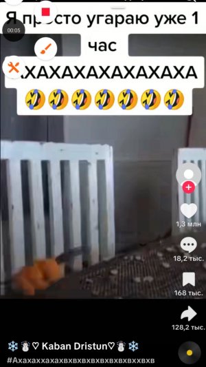 стрим: я собрал алмазную мозаику (Поступь кота)🥹