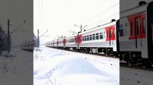 тапок едет