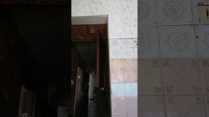 Дегустация кондитерских.