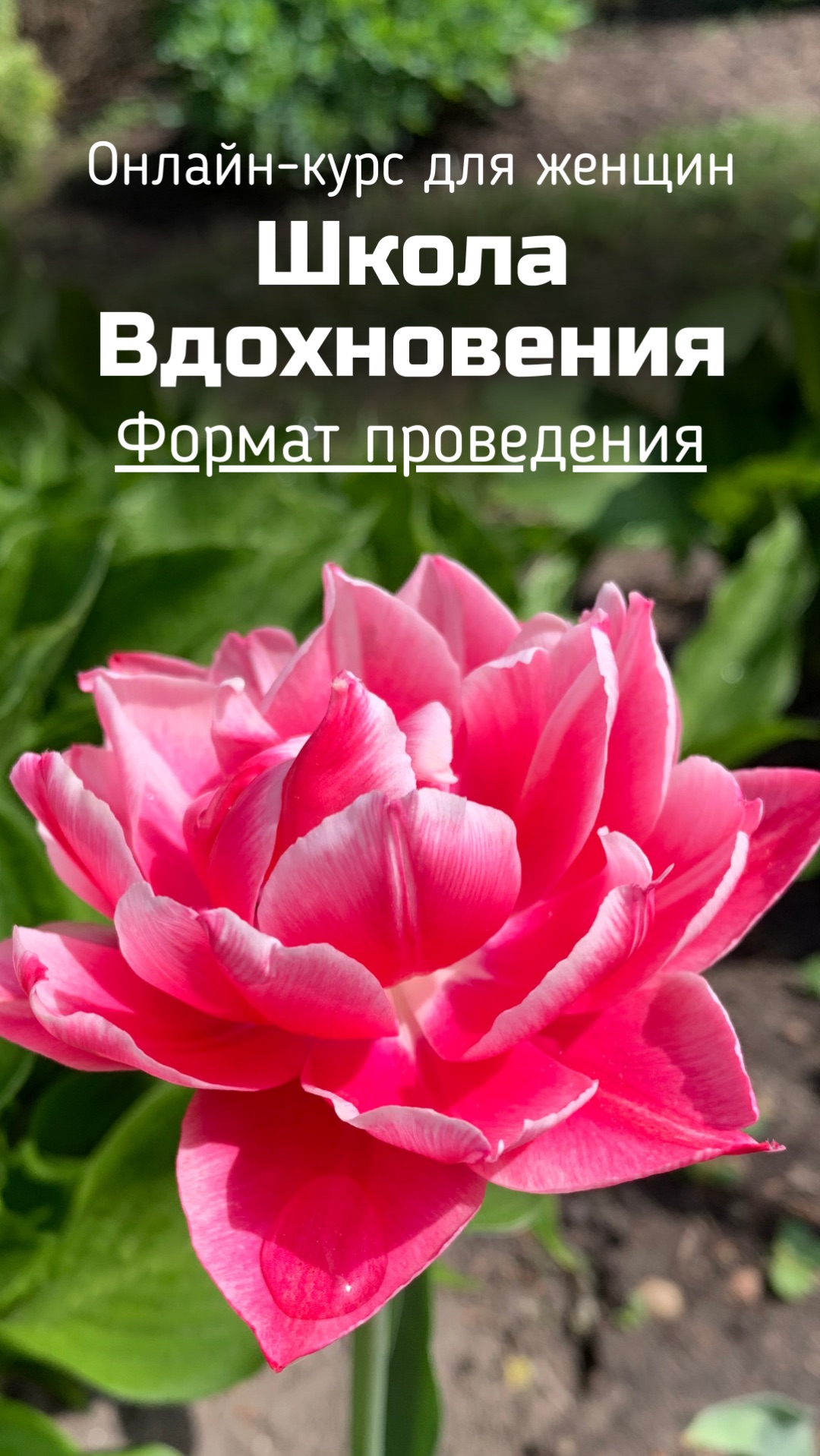 «Школа Вдохновения» - онлайн-курс для женщин. Формат проведения