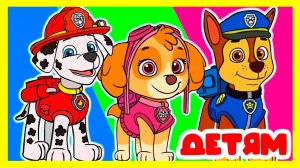 ЩЕНЯЧИЙ ПАТРУЛЬ Мультфильм - Щенки помогают капитану в бухте приключений - Мультик для детей