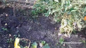 Проект_09-24_Full_HD_1080p_MEDIUM_FR30.mp4