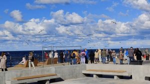 Калининград, поездка к Балтийскому морю, Зеленоградск