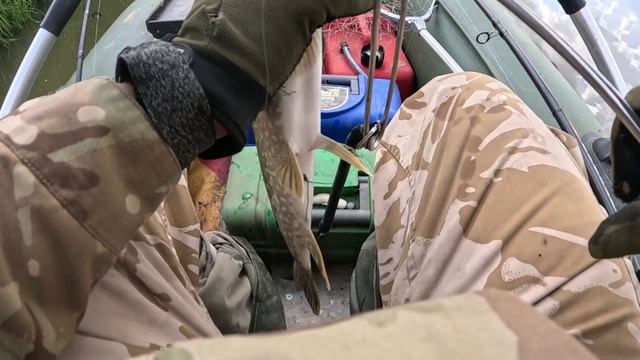 🎣ТРАВЯНКА ЖИВИ🎣fishing#туризм#природа#ловля#рыбалка#щука#ловлящуки#ночевка#Чулым#река#спиннинг