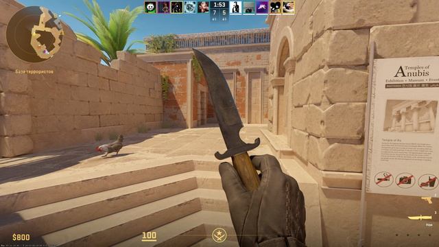 Counter-Strike 2. CS2. КС 2. Anubis.