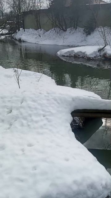 #Кексикохотникнауток #прогулкасУлей