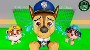 Погоня Щенячьего патруля, завалы, ему нужна помощь! В тюрьме беги за Барри!#Roblox #obby