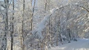 Красивый Февраль