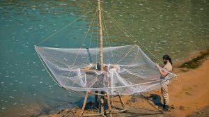 Рыбалка с использованием системы «Осьминог»: невероятно крупная рыба.