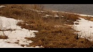 шманяю из рогатки ЧАСТЬ 40