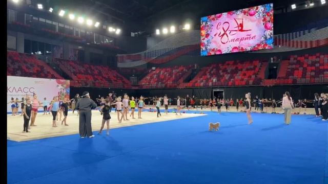 Походка от ИА Винер 8 марта Есения