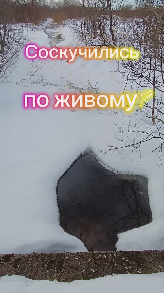 Соскучились по живому👀😊