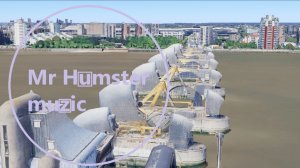 Mr Humster muzic / bass 19