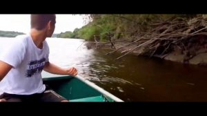 собираю пластиковую рыбку ЧАСТЬ 64