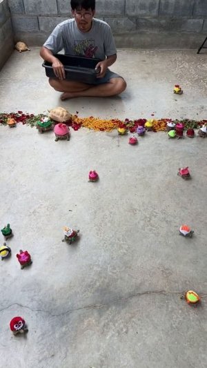 Черепаший обед