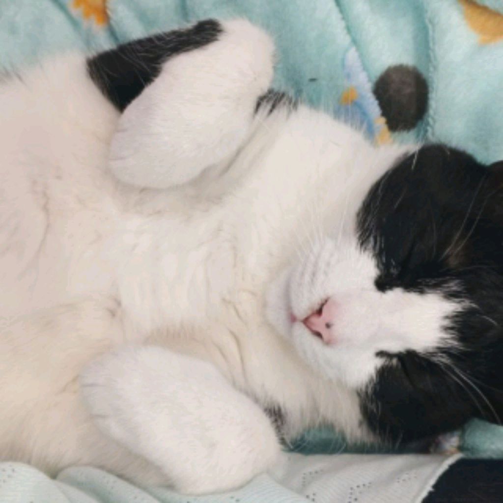 рисуем закрытыми глазами + Феликс 🤟