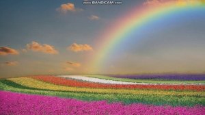 НЕ БРАТЬСЯ ЗА ОРУЖИЕ, А ПОСТИТЬСЯ И КАЯТЬСЯ И ПОКОРИТЬСЯ БОГУ, ЕСЛИ НАЧАЛАСЬ ВОЙНА В СТРАНЕ! 2часть.