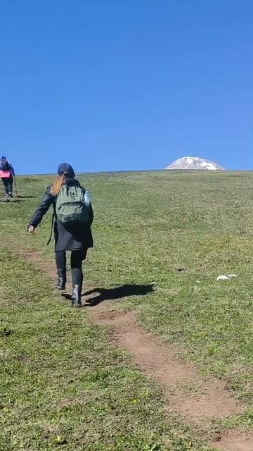 Вся наша компания смотреть онлайн