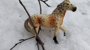 𓃗фотосет 𓃗