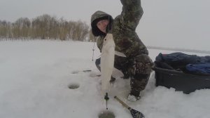 Зимняя рыбалка в Сибири. Часть 89. За живцами.