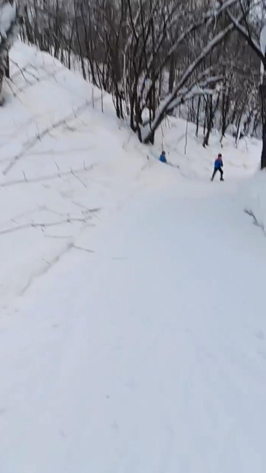 Чуть не сбил на лыжне