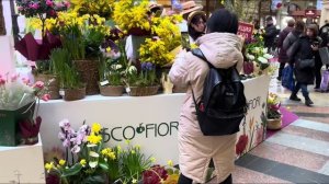 Никольская улица и ГУМ ✨ одна из самых красивых прогулок по Москве