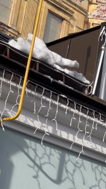 BMW под прицелом.