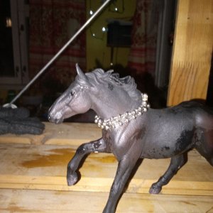 вызов принит